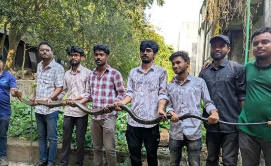 এক দিনের ব্যবধানে চবিতে ফের ‘কিং কোবরা’ উদ্ধার